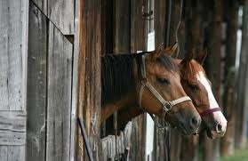 Niet waterdichte dekens