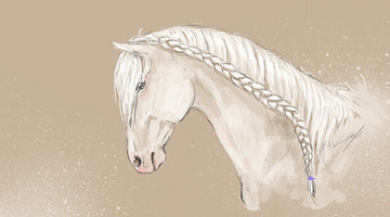 Haren & Manen & staart verzorging