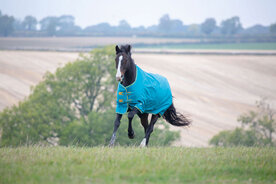 Deken Shires Tempest Original 300