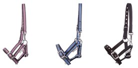 Kavalkade veulenhalster