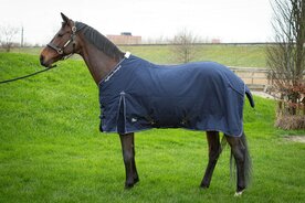 Staldeken HH Highliner Boa