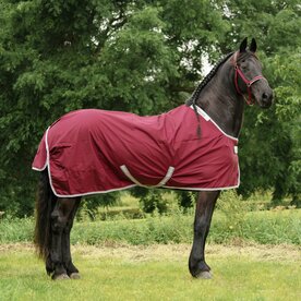 Bucas Atlantic Exclusive Light Wine 