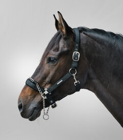 Control Halster WH Pro Safety