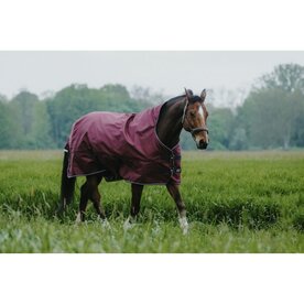 Regendeken Equitheme Tyrex 1200D Highneck 50 grams Burgundy