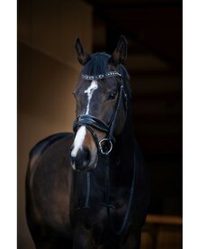 HB Showtime It is So Special Zwart-zwart glitter