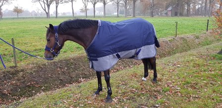 Regendeken Equitheme Tyrex Navy-Grey 0 grams nylon gevoerd