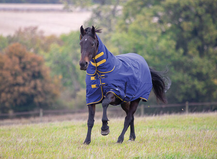 Deken Shires Tempest 300 met afneembare hals 