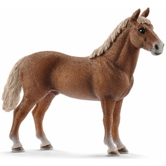 Schleich Morgan Hengst