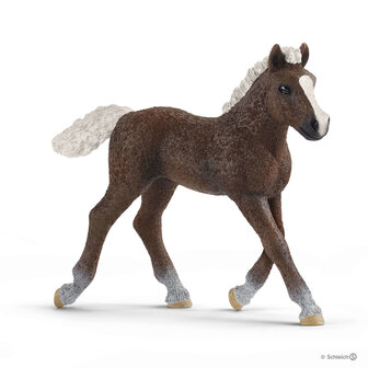 Schleich Schwarzwalder veulen