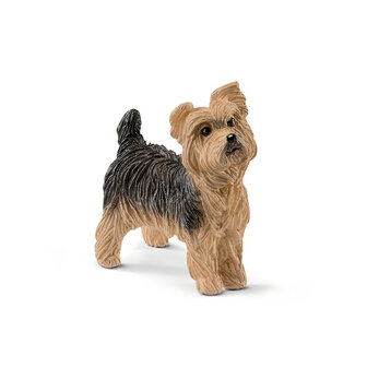 Schleich Yorkshire Terrier