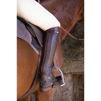 Chaps Equitheme Elite