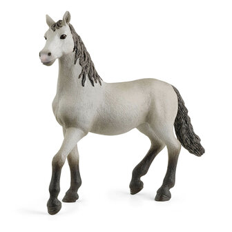 Schleich Andalusier veulen