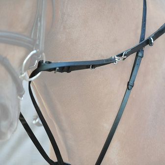 Kavalkade Thiedeman complete set