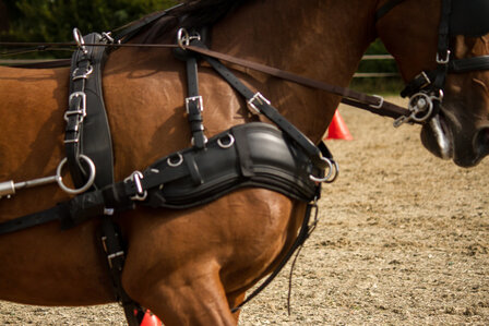 Cellpad Empathy Borstonderlegger bestemd voor &quot;Zilcotuigen&quot;  Pony