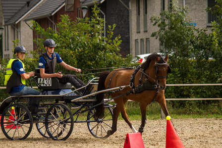 Cellpad Empathy Borstonderlegger bestemd voor &quot;Zilcotuigen&quot;  Pony