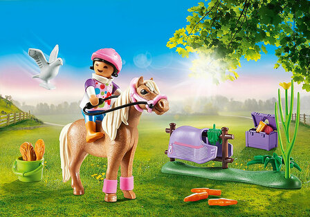 Playmobil Connemara pony