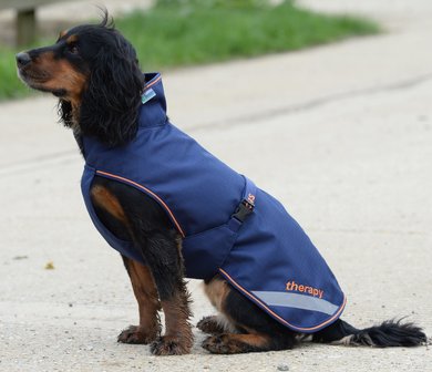 Hondendeken Bucas Therapy Dog Rug grote maat