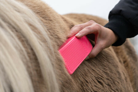 Excellent Horse Grooming Brush medium