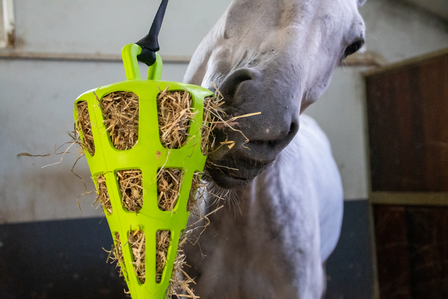 Hay Slowfeeder Fun and Flex Wortel