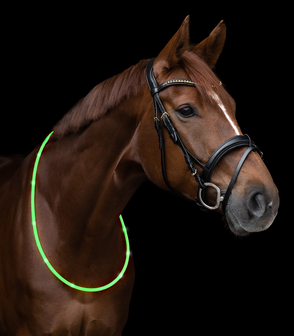 LED Licht halsband voor paard