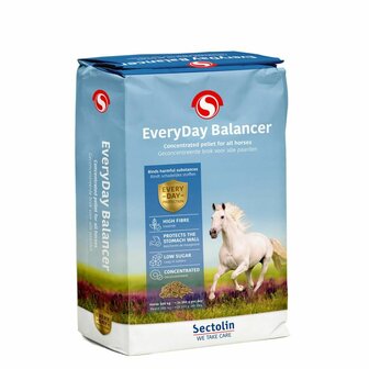 EveryDay Balancer Sectolin
