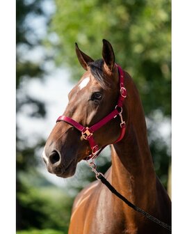 HB Showtime Eclipe Halster-set