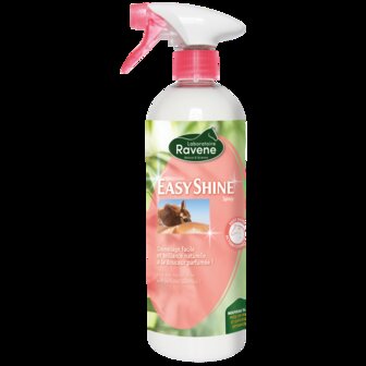 Ravene Easy Shine antiklit