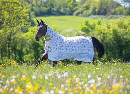 Vliegendeken Shires Tempest Dandelion