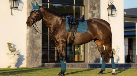 LeMieux Luxury Dressage Suede squares: Marine