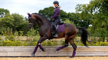 LeMieux Luxury Dressage Suede squares: Fig