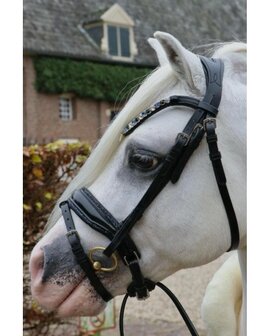 Hoofdstel  HB Showtime Special A-Pony Blauw