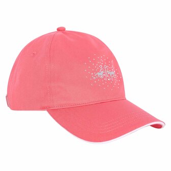 Baseball Cap HV Polo 