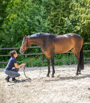 Horsemanship Contact stok stick