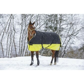 Regendeken Equitheme Tyrex Reflective 0 grams nylon gevoerd