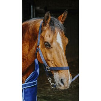 Complete set: deken bandages halster touw