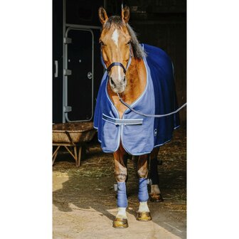 Complete set: deken bandages halster touw