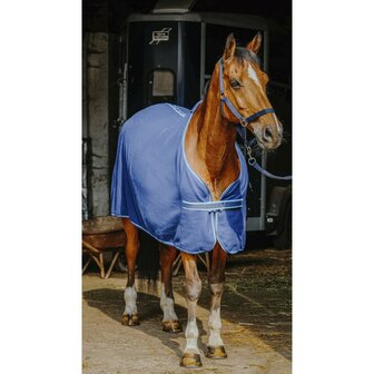 Complete set: deken bandages halster touw
