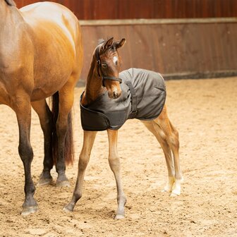 Veulendeken Stable 100 gram