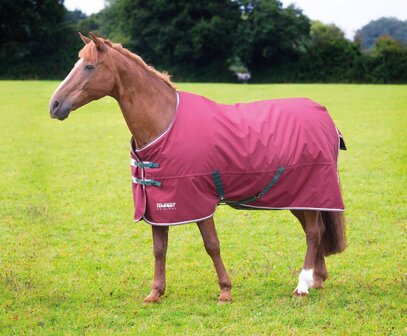 Deken Shires Tempest Original 200 Maroon