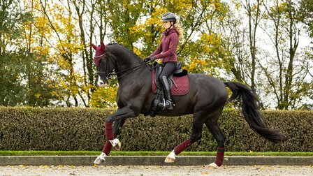 Sjabrak LeMieux Crystal Suede Dressuur Burgundy