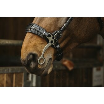 Hoofdstel Norton Pro Hackamore