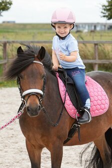 Hoofdstel HH Diva Stella 