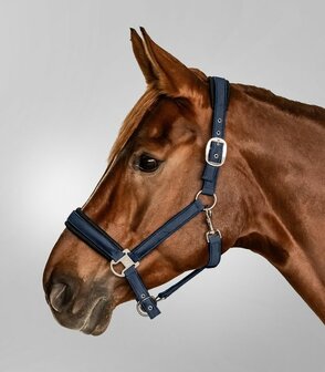 Halster WH Mesh Nightblue