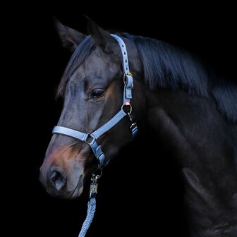 Luxe sterk halster IRHYearling jaarlinghalster moonstone