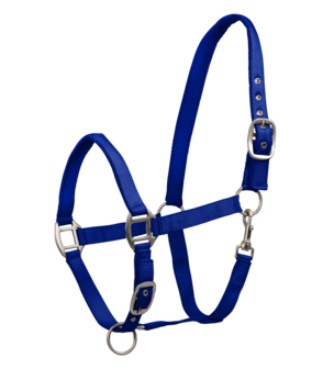 Halster WH Satin Saphire Blue