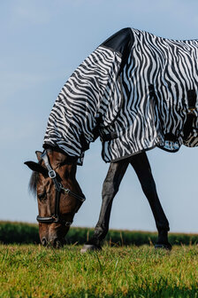 Riding World vliegendeken Belly Mesh Combo Zebra
