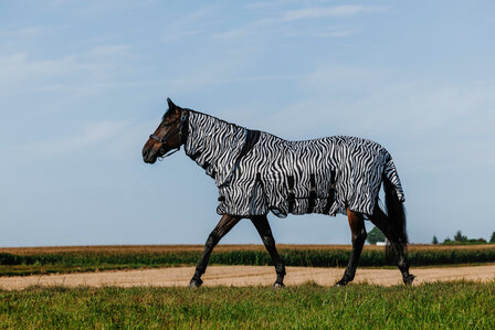 Riding World vliegendeken Belly Mesh Combo Zebra