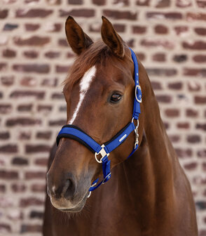 Halster WH Mesh  Saphire Blue