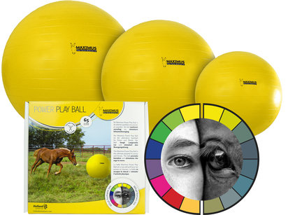Maximus power play ball paardenspeelbal 65cm