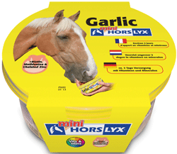 Horslyx Garlic